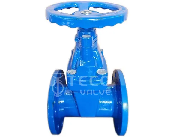 Gate Valve