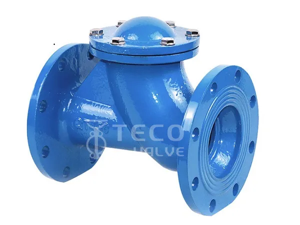 Check Valve