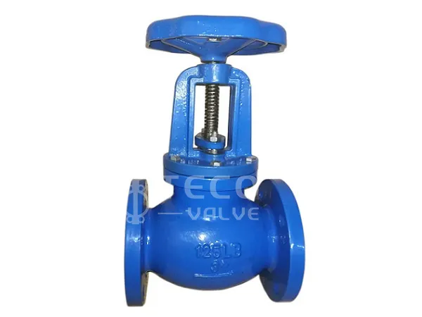 Globe Valve