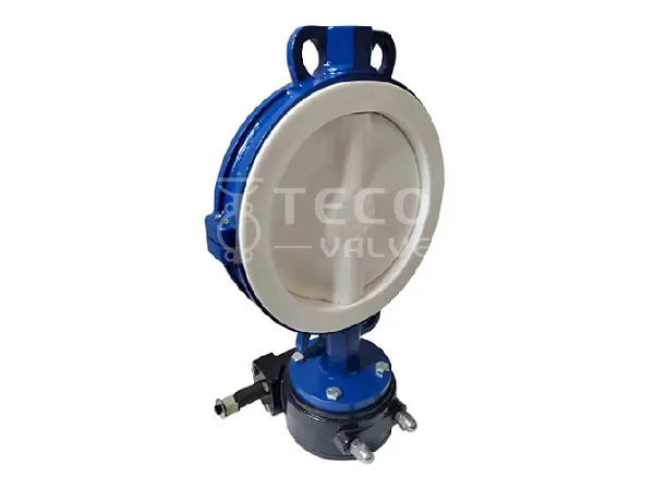 2 Piece Split Body Butterfly Valve PTFE Lined
