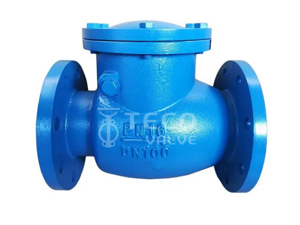 BS5163 Check Valve Swing Type Non Return Valve