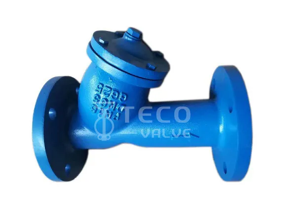 BS cast iron y strainer