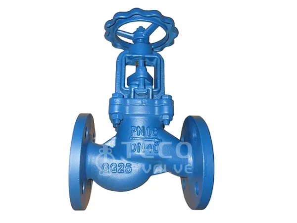 Cast Iron Globe Valve DIN Standard