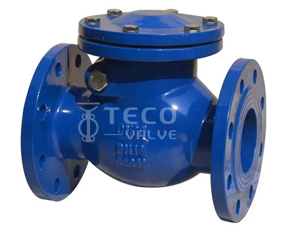 Check Valve Cast Iron DIN PN16