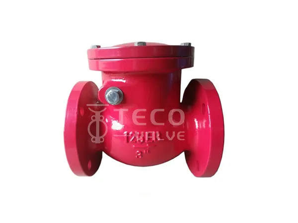 Class150 Swing Check Valve