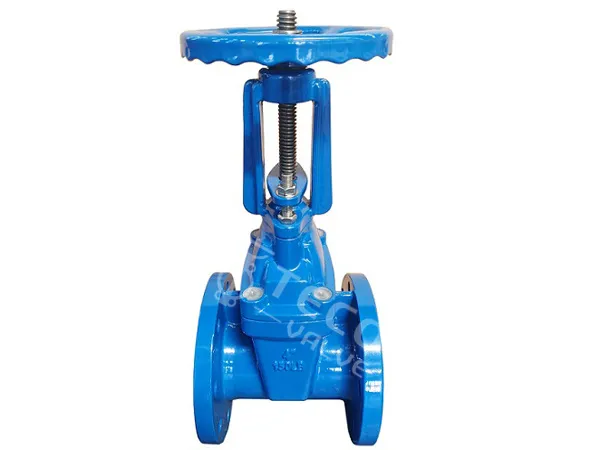 OS & Y Gate Valve 150 Class