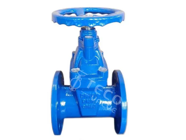 Resilient Seated NRS F4 Gate Valve