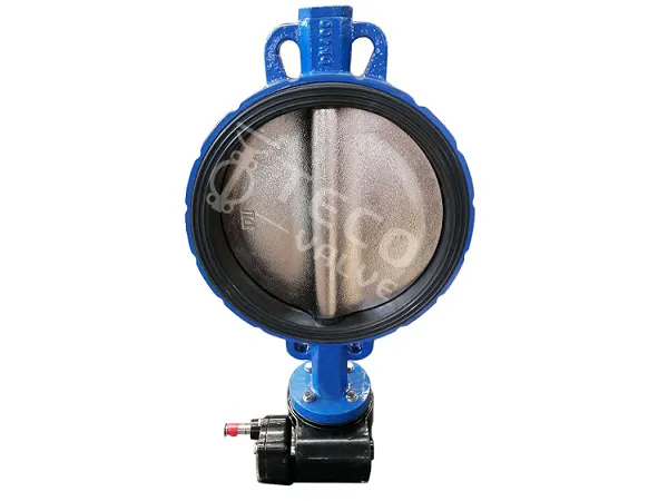 Wafer-style Butterfly Valve Replaceable Seat